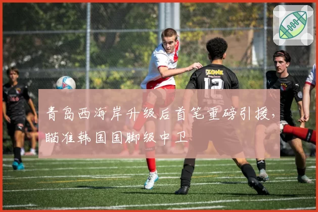 青岛西海岸升级后首笔重磅引援，瞄准韩国国脚级中卫