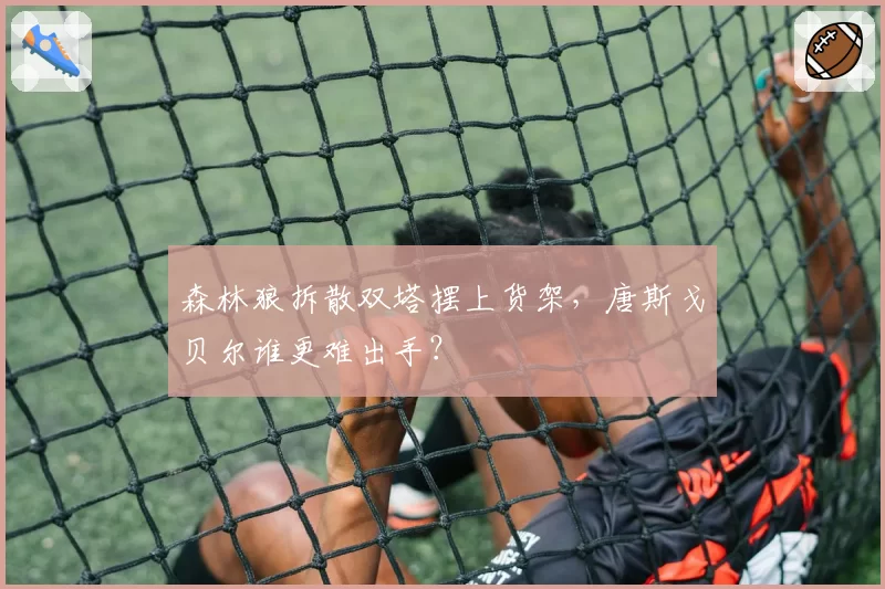 森林狼拆散双塔摆上货架,唐斯戈贝尔谁更难出手?