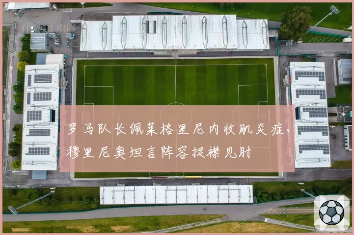 罗马队长佩莱格里尼内收肌炎症,穆里尼奥坦言阵容捉襟见肘