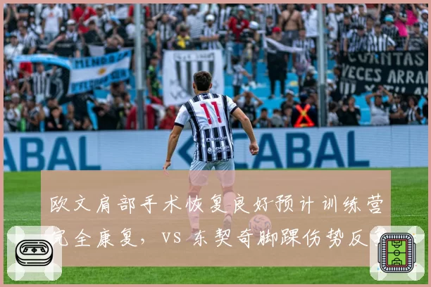 欧文肩部手术恢复良好预计训练营完全康复,vs 东契奇脚踝伤势反复存疑